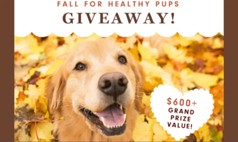 Enter to Win an Ultimate Health and Accessory Package for Your Pet!