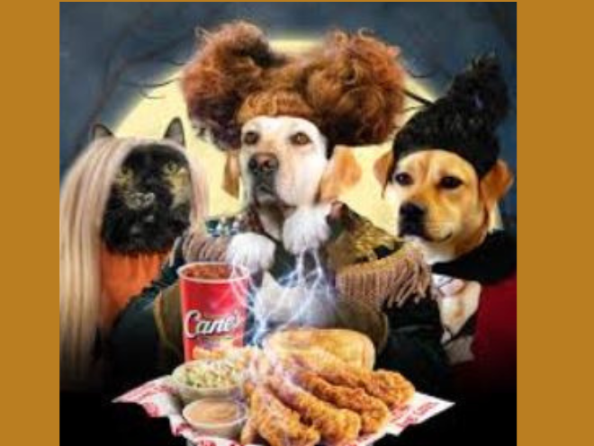 Enter to Win Raising Cane’s Chicken for a Year!