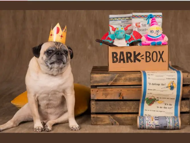 Enter to Win a 12 Month Subscription to Bark Box and More!