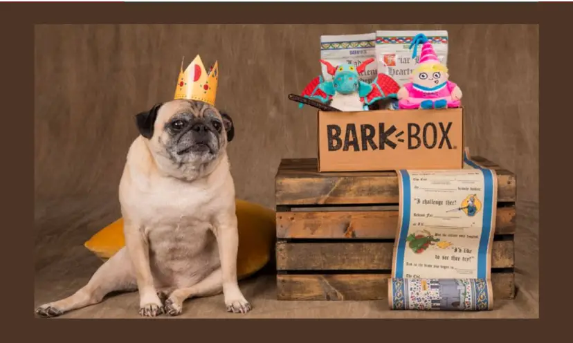 For the Bark Box giveaway this photo features a chunky pug dog wearing a crown. Beside the pup is a wooden crate holding a Bark Box filled with toys and treats for a dog.