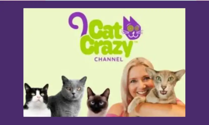 In this photo is a woman with four cats of various colors and the logo "Cat Crazy Channel" in lime green and purple above.