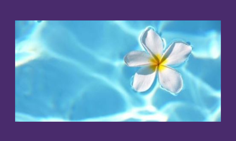 This is a photo of a delicate white flower floating in a refreshing blue pool. Everything about this promotes relaxation...just like this giveaway.