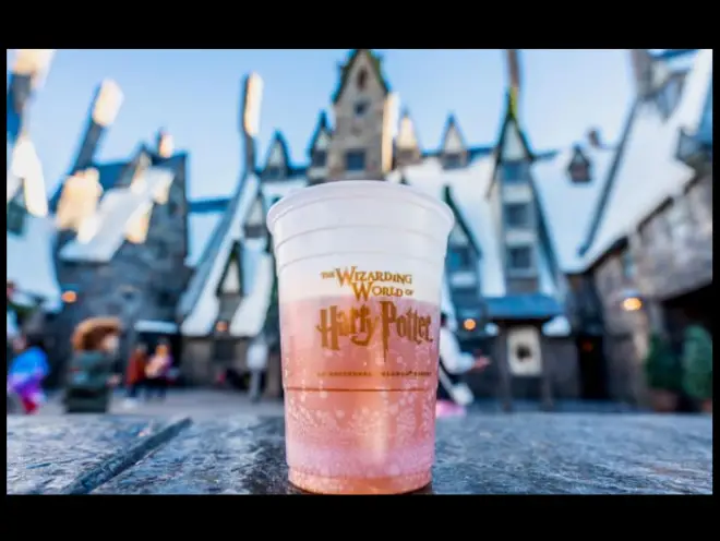 Enter to Win a Five Day Trip for Four to Universal Orlando!