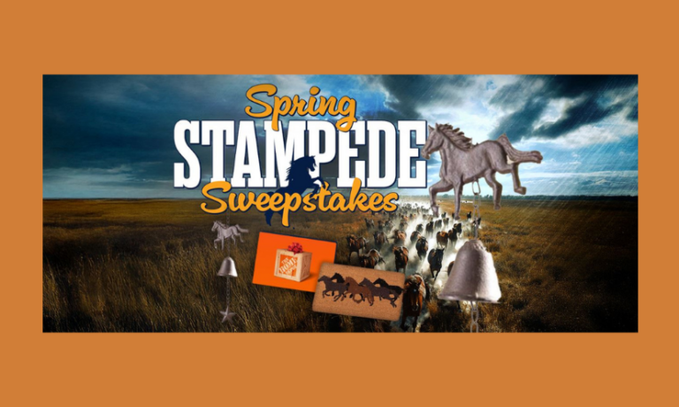 Enter to Win a $500 Home Depot Gift Card, Windchimes and a Doormat! 