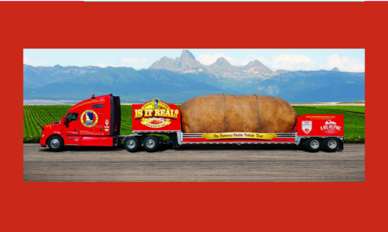 Weirdest Sweepstakes Ever: The Strangest Prizes People Have Actually Won!