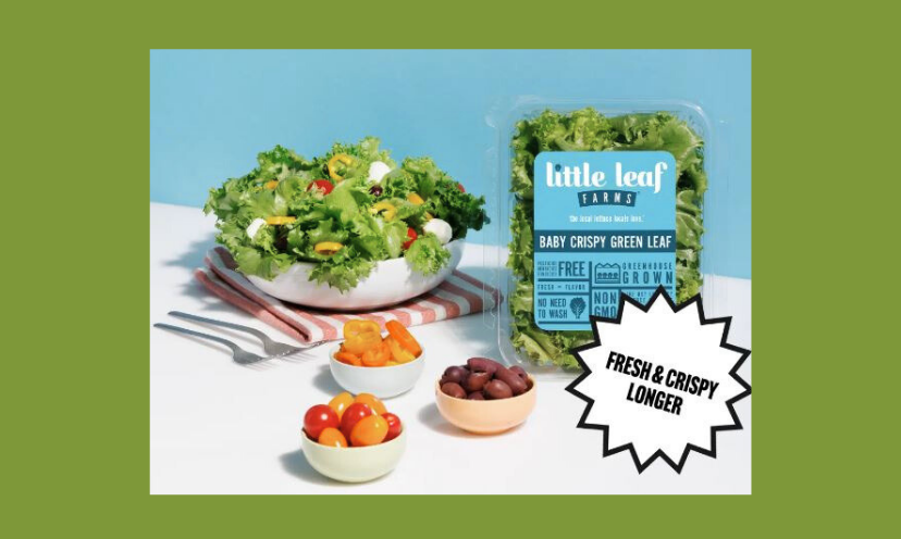 This photo features the fresh lettuce and crispy salad options that will come to the lucky winner of this sweepstakes!