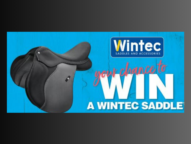 Enter to Win a $2,000 Wintec Horse Saddle!