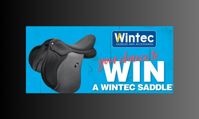 This photo features the $2,000+ saddle in this sweepstakes. The text says "your chance to win a Wintec Saddle" along with the Wintec logo!