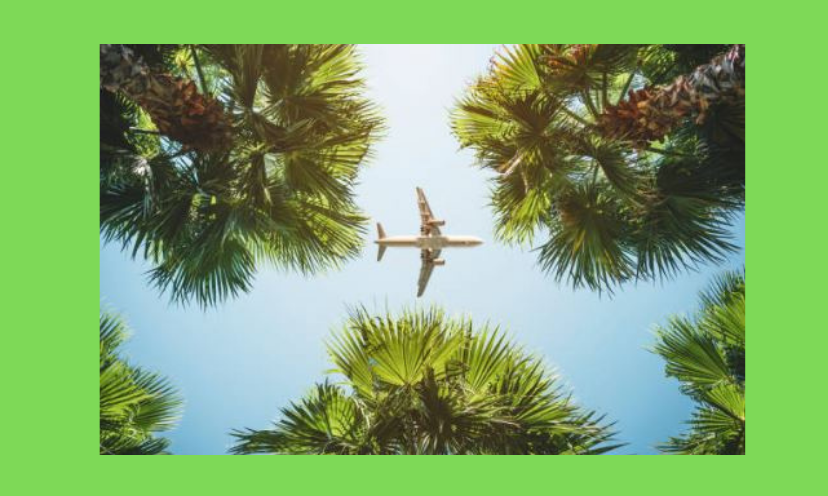 This photo is that of a plane flying over palm trees...as if headed to a sought and long awaited after vacation spot!