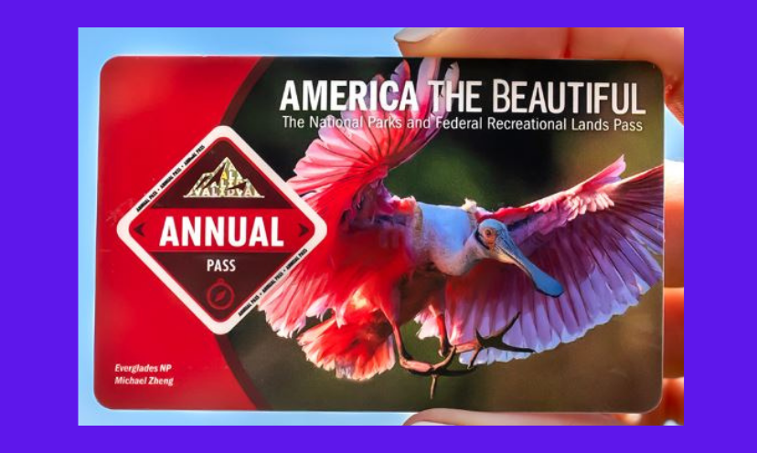This image is an up close photo of an America The Beautiful National Parks and Federal Recreational Lands Pass that comes with a $4,500 cash prize!