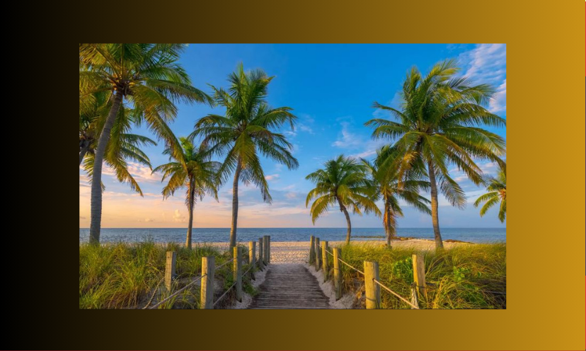 This photo consists of a breathtaking view typical of many Florida locations. There's a pathway leading to the beach surrounded by majestic palm trees.