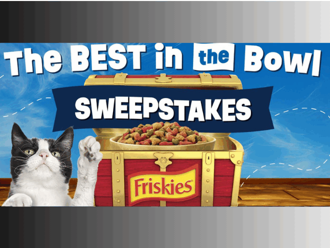 Enter to Win a Year of Friskies cat Food, $5,000 Cash, Cat Carrier, a Wireless Speaker and More!