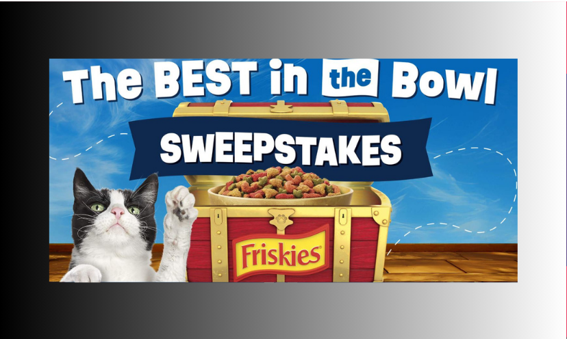This photo features a black and white cat beside a treasure chest of cat food. The caption says "The Best in the Bowl Sweepstakes"!