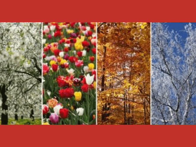 What’s the Best Season for Sweeps​…or is There One?