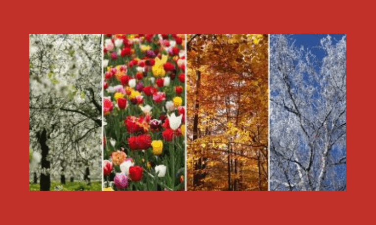 What’s the Best Season for Sweeps​…or is There One?