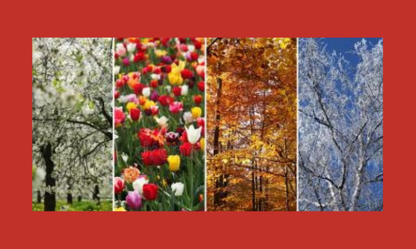 This photo combines images of all four beautiful seasons...summer, spring, fall and winter!