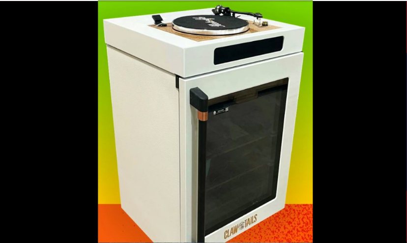 This is an up close and detailed photo of the fridge and turntable combo offered in this unique giveaway!