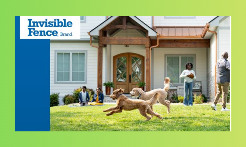 This is a photo of a family enjoying their yard while their dogs run and play freely and safely...thanks to the protection of an invisible pet fence!