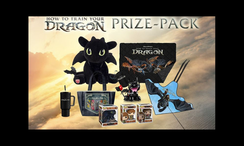 This photo shows a close up view of everything in the sweepstakes prize pack. From the POP figures to the kite...it;'s all there in one exciting picture! The caption says "how to train your dragon prize pack"!