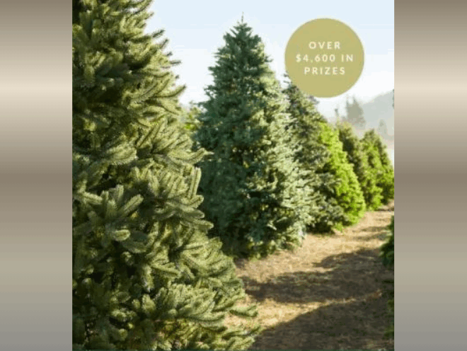 Enter to Win Over $4,000 in a Variety of Gift Cards!