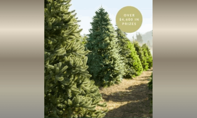 Enter to Win Over $4,000 in a Variety of Gift Cards!