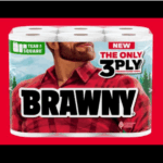 Enter to Win a Year Supply of Brawny Paper Towels!