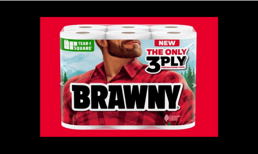 This is simply a photo of a mega pack of Brawny paper towels...a prelude to the amount you could take home in this giveaway!