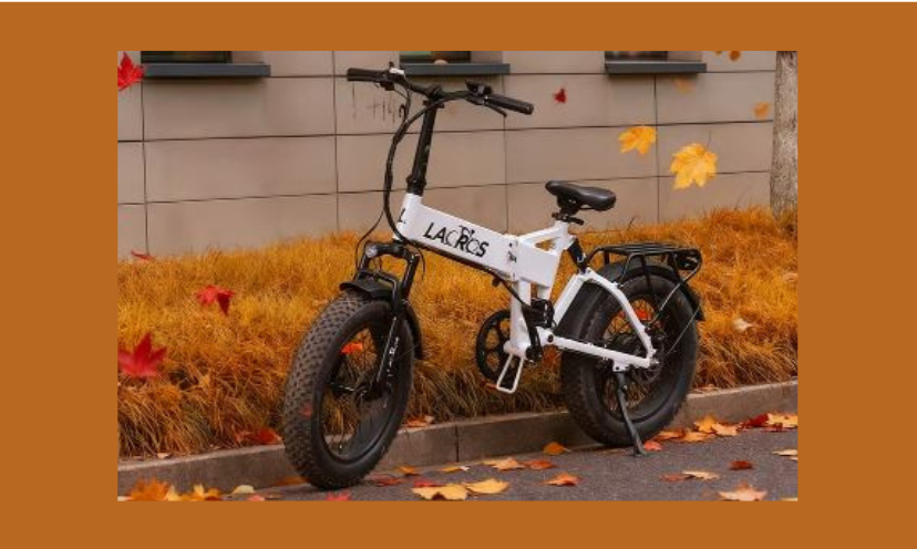 This is a photo of the amazing Ebike up for grabs in this giveaway. It's ready for a fall ride as it is surrounded by golden autumn leaves.