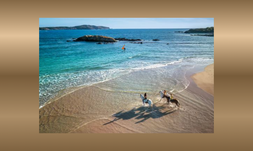 This photo is a touch of the magic that will be experienced in a trip to Corsica France. It shares an image of three people on horseback enjoying the blue waters and calm feel on the beautiful beach!