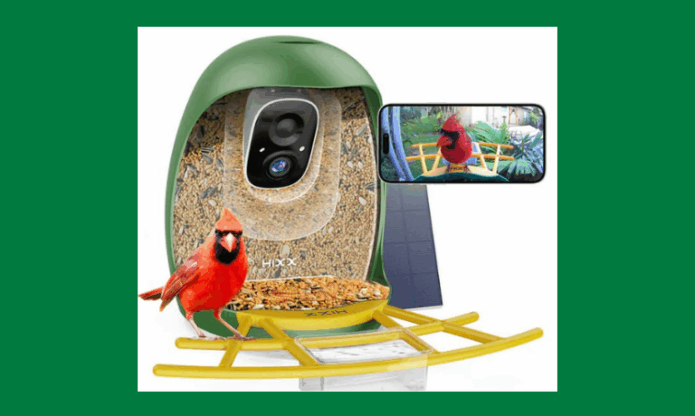 Enter to Win a HiCircle Smart Bird Feeder!