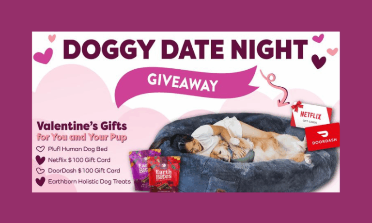 Enter to Win a Human Sized Dog Bed, Holistic Dog Treats and $100 Gift Cards for DoorDash and Netflix!