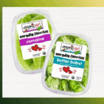 Enter to Win a Year of Organic Girl Greens and a $2,500 Expedia Gift Card!