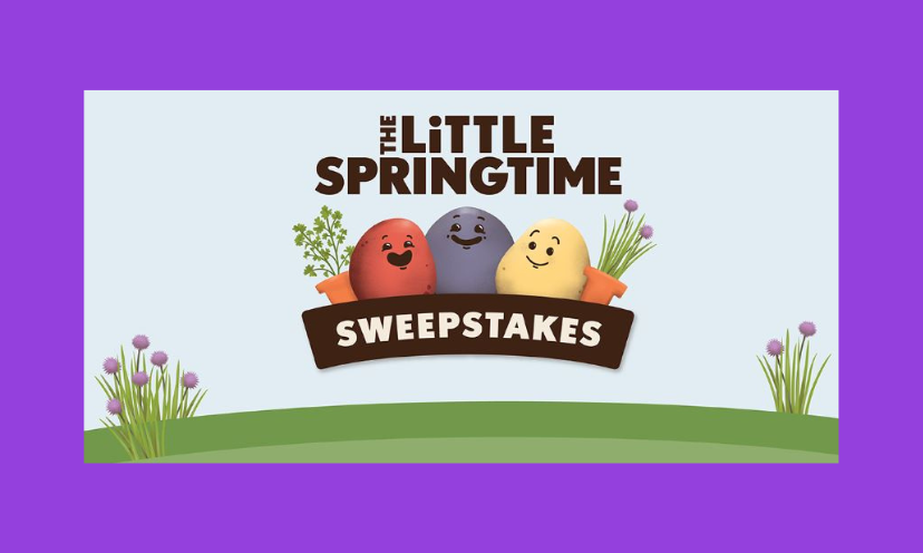 This photo is a colorful illustration of three eggs with a pot of flowers on each side. The caption says "The little Springtime Sweepstakes"!