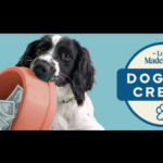 Enter to Win a $1,000 Visa Gift Card or a Dog Food Instant Win from Chewy! 