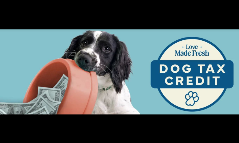 This is a photo of an adorable black and white dog holding a dish full of cash. To the side is a circle with the words "love made fresh" and "dog tax credit"!