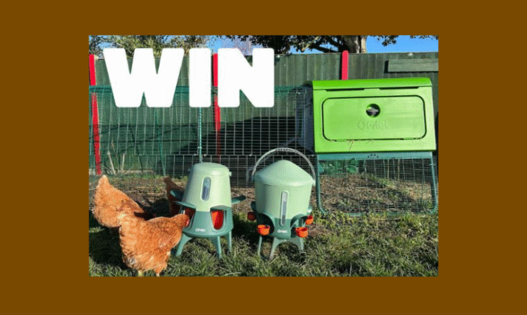 Enter to Win a $3,500 Chicken Coop with Smart Feeder and More! 