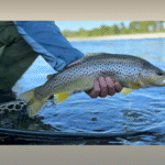 Enter to Win a Three Night Trip to the Field and Stream Yellowstone Fish Camp in Montana! 