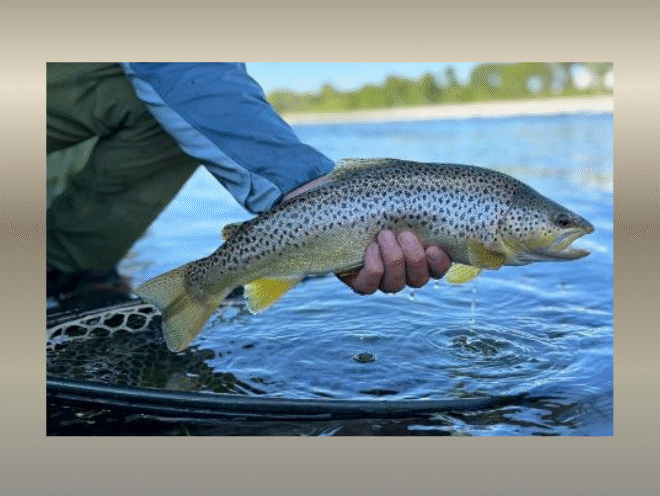 Enter to Win a Three Night Trip to the Field and Stream Yellowstone Fish Camp in Montana! 