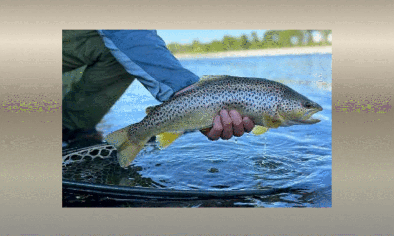 Enter to Win a Three Night Trip to the Field and Stream Yellowstone Fish Camp in Montana! 