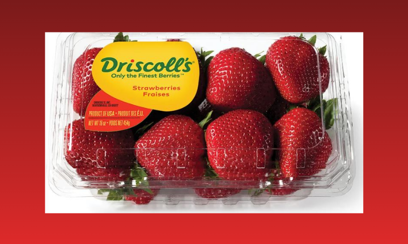This photo shows a close up shot of a carton of sweet, juicy, ripe and ready to eat luscious Driscoll strawberries!